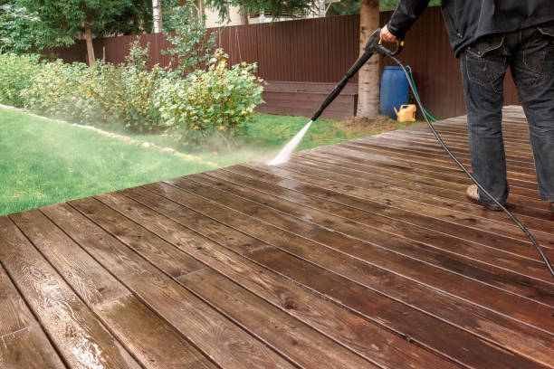 Best Animal Enclosure Cleaning  in Harbour Heights, FL